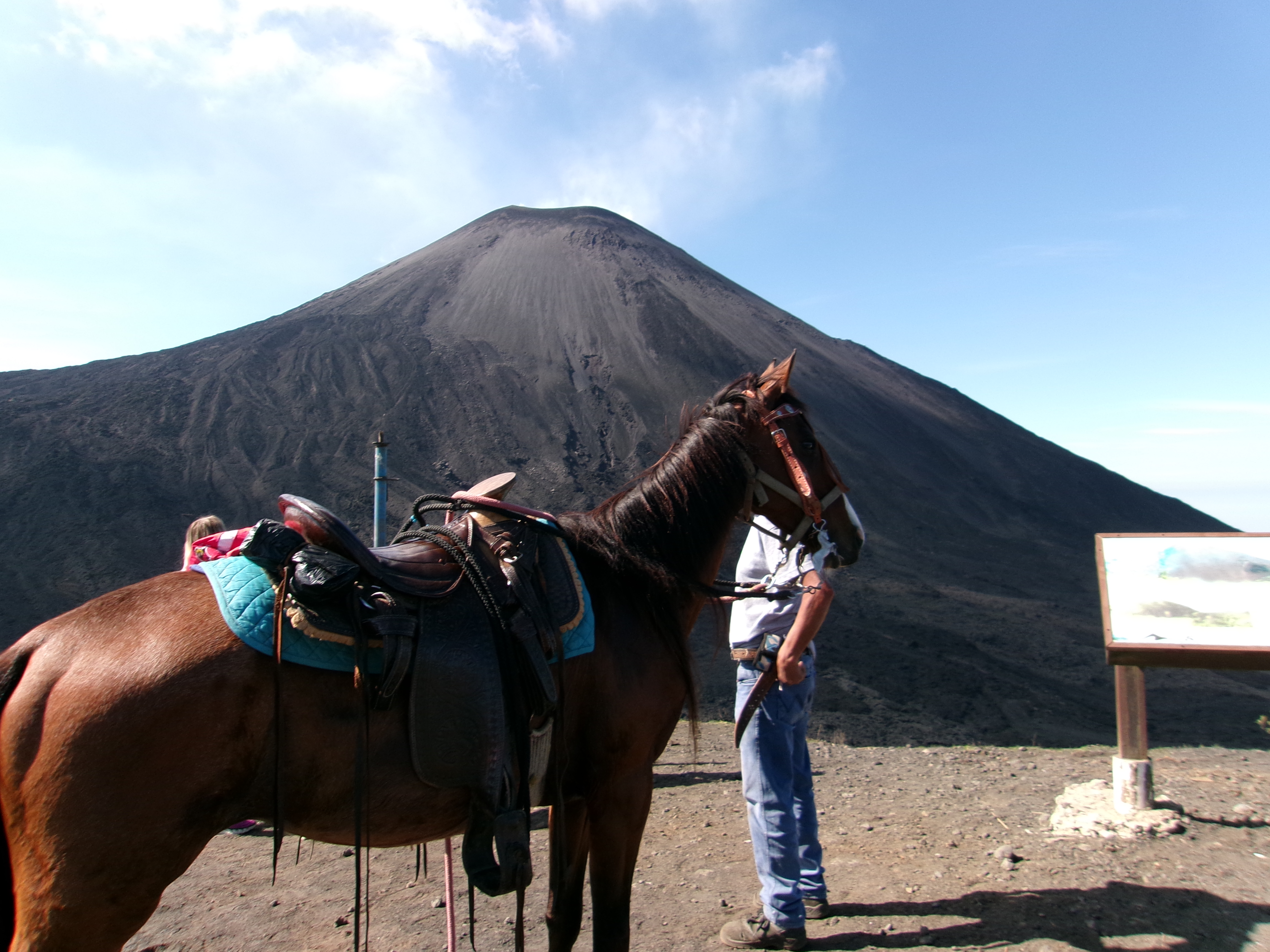 Volcano Pacaya but with a horse